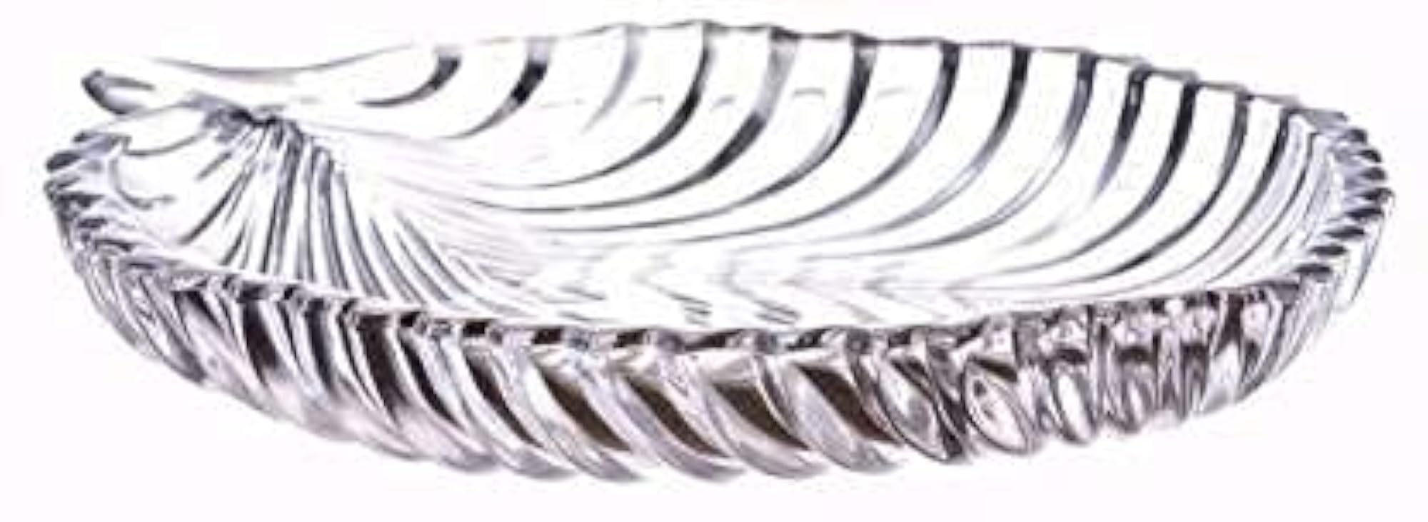 Stylish Transparent Plate for Dinner, Lunch, Snacks
